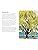 A Ladybird Book: Trees