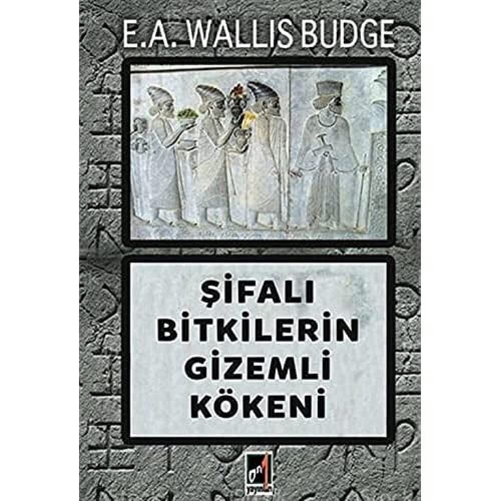 Şifalı Bitkilerin Gizemli Kökeni