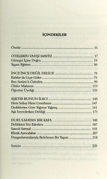 Durulmayan Bir Kafa: Bir Delilik ve Duygu Durumları Güncesi