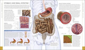 The Human Body Book
