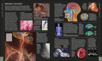 The Human Body Book