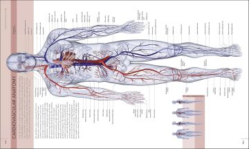The Human Body Book