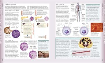 The Human Body Book