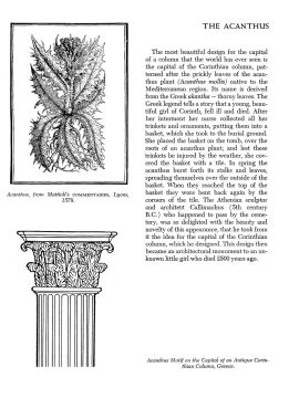 Folklore and Symbolism of Flowers, Plants and Trees: with over 200 Rare and Unusual Floral Designs and Illustrations