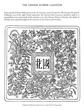 Folklore and Symbolism of Flowers, Plants and Trees: with over 200 Rare and Unusual Floral Designs and Illustrations