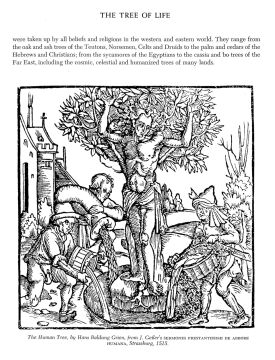 Folklore and Symbolism of Flowers, Plants and Trees: with over 200 Rare and Unusual Floral Designs and Illustrations