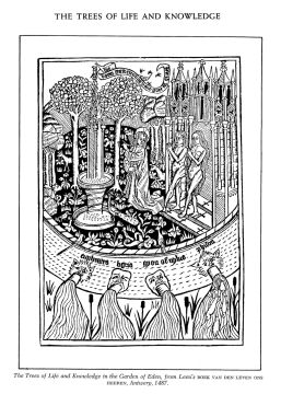 Folklore and Symbolism of Flowers, Plants and Trees: with over 200 Rare and Unusual Floral Designs and Illustrations