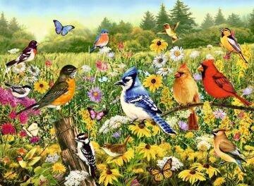 Ravensburger 500 Parçalı Puzzle Kuşlar