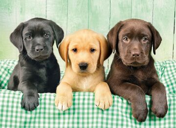 Clementoni - 1000 Parça High Quality Collection Yetişkin Puzzle - Three Labs
