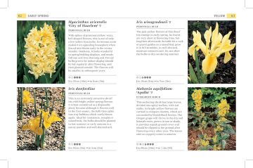 RHS What Plant When : More than 1,000 Top Plants for Every Season