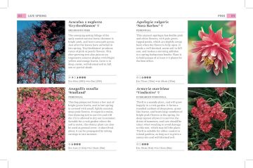 RHS What Plant When : More than 1,000 Top Plants for Every Season