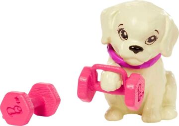 BARBIE BRAND HKT91 BRB WLNSS DL Gym DVL, çok renkli