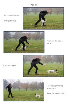 Easy Peasy Puppy Squeezy: The UK's No.1 Dog Training Book: The UK's No.1 Dog Training Book - How to Raise the Perfect Puppy
