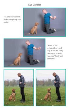 Easy Peasy Puppy Squeezy: The UK's No.1 Dog Training Book: The UK's No.1 Dog Training Book - How to Raise the Perfect Puppy