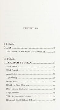 Şaman Aynası