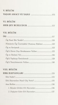 Şaman Aynası