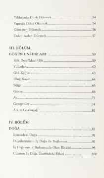 Şaman Aynası