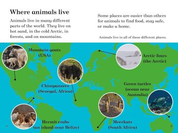 BBC Earth: Where Animals Live - Ladybird Readers Level 3