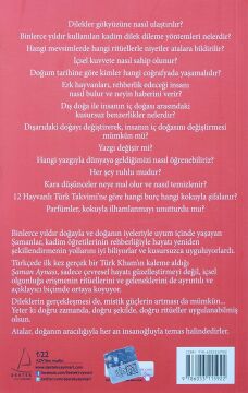 Şaman Aynası