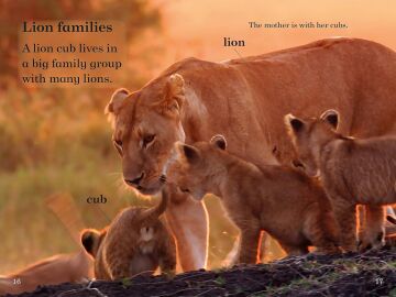 BBC Earth: Baby Animals - Ladybird Readers Level 1