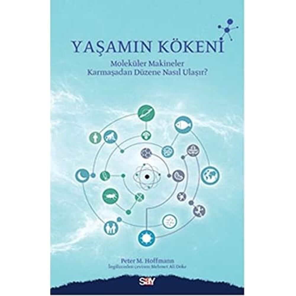 Yaşamın Kökeni: Molekül Makineler Karmaşadan Düzene Nasıl Ulaşır?
