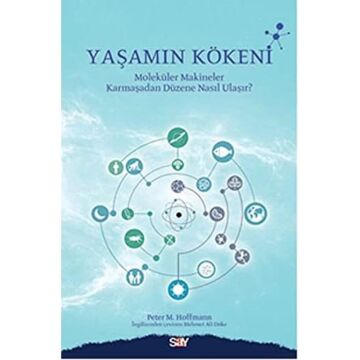 Yaşamın Kökeni: Molekül Makineler Karmaşadan Düzene Nasıl Ulaşır?