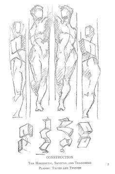 Constructive Anatomy: With Almost 500 Illustrations