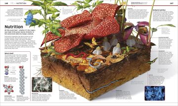 Knowledge Encyclopedia Science!