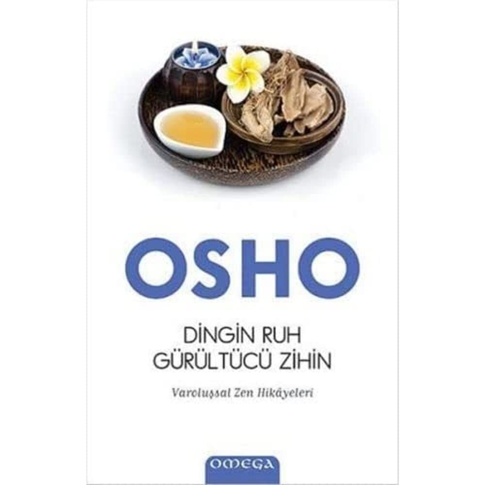 Dingin Ruh Gürültücü Zihin: Varoluşsal Zen Hikayeleri