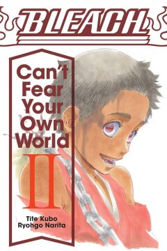 Bleach: Can't Fear Your Own World, Vol. 2: Volume 2