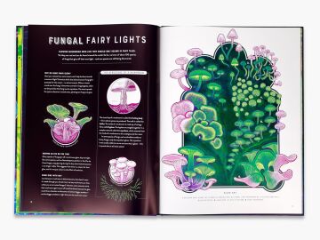 Glow: The Wild Wonders of Bioluminescence: 1