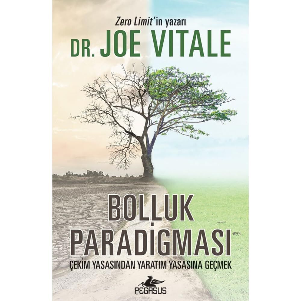 Bolluk Paradigması: Çekim Yasasından Yaratım Yasasına Geçmek