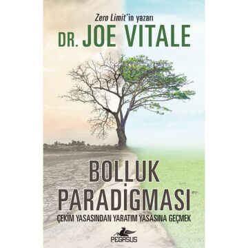 Bolluk Paradigması: Çekim Yasasından Yaratım Yasasına Geçmek