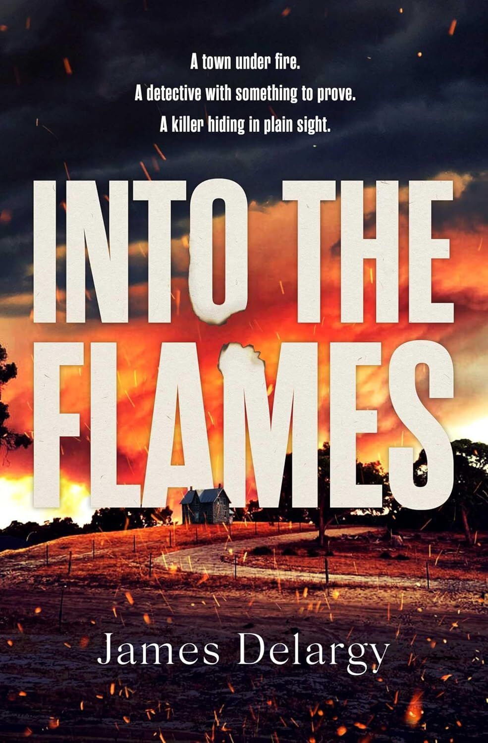 Into the Flames: The scorching new summer thriller