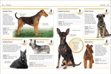 Pocket Eyewitness Dogs: Facts at Your Fingertips