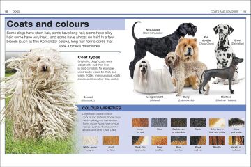 Pocket Eyewitness Dogs: Facts at Your Fingertips