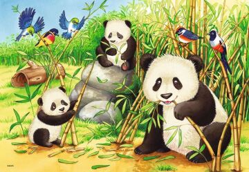 Ravensburger (78202) 2 X 24 Parça Puzzle Koalas Pandas