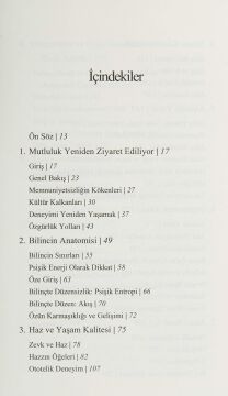 Akış: Mutluluk Bilimi
