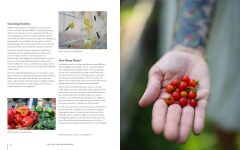 The First-Time Homesteader: A complete beginner's guide to starting and loving your new homestead