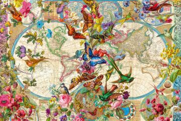 Ravensburger Bulmaca 17117 - Kelebekler ile Dünya Haritası - Yetişkinler ve 14 Yaş ve Üstü Çocuklar için 3000 Parçalı Bulmaca