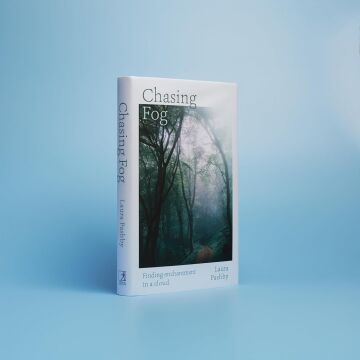 Chasing Fog: Finding Enchantment in a Cloud