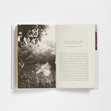 Chasing Fog: Finding Enchantment in a Cloud