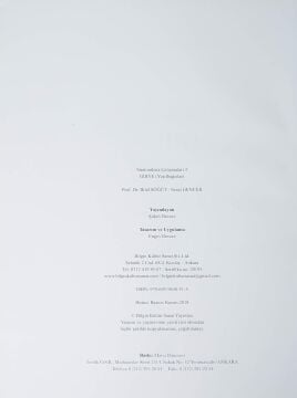 Gibye (Yeşilbağcılar) - Stratonikeia Çalışmaları 3