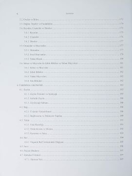 Gibye (Yeşilbağcılar) - Stratonikeia Çalışmaları 3