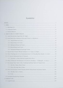 Gibye (Yeşilbağcılar) - Stratonikeia Çalışmaları 3