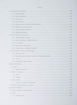 Gibye (Yeşilbağcılar) - Stratonikeia Çalışmaları 3