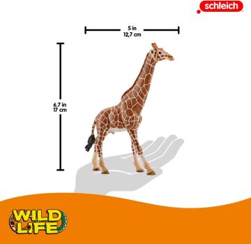 Schleich Wild Life Erkek Zürafa