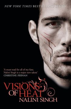 Visions of Heat: Book 2: Your next paranormal romance obsession