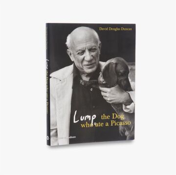 Lump: The Dog who ate a Picasso