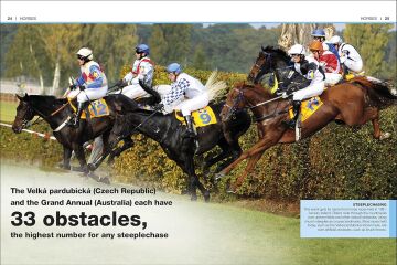 Pocket Eyewitness Horses: Facts at Your Fingertips